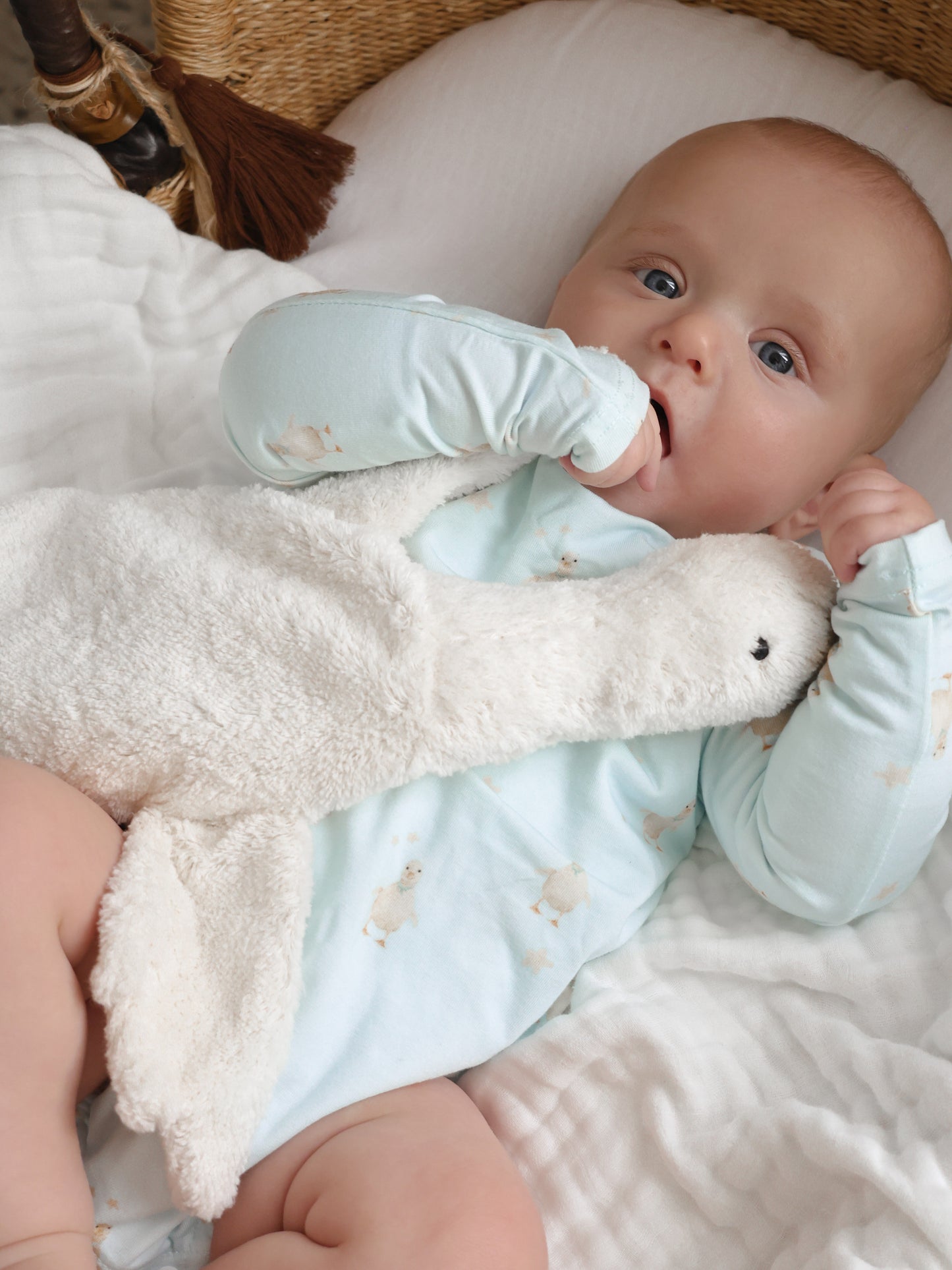 Bamboo/Organic Cotton Romper - Little Duck